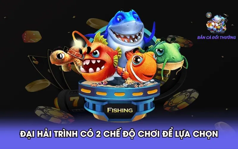 dai-hai-trinh-co-2-che-do-choi-de-lua-chon