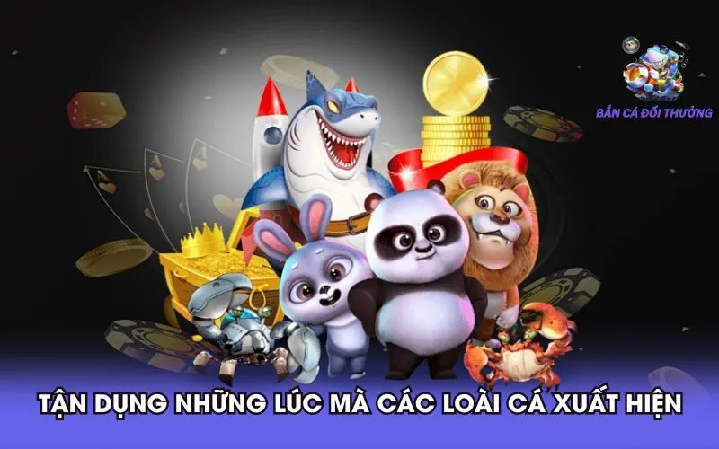 tan-dung-nhung-luc-ma-cac-loai-ca-xuat-hien